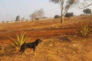 5 acre Plot for Sale,Mariandale Estate, Lusaka- K 2,500,000